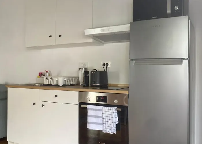 Old Traditional Courtyard House Holiday home Brasov